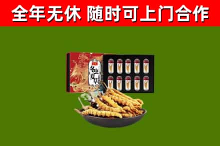 东宁回收冬虫夏草价格