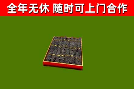东宁回收海参